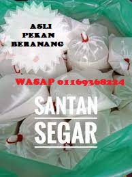 SANTAN KELAPA ORI - PEK 500 g
